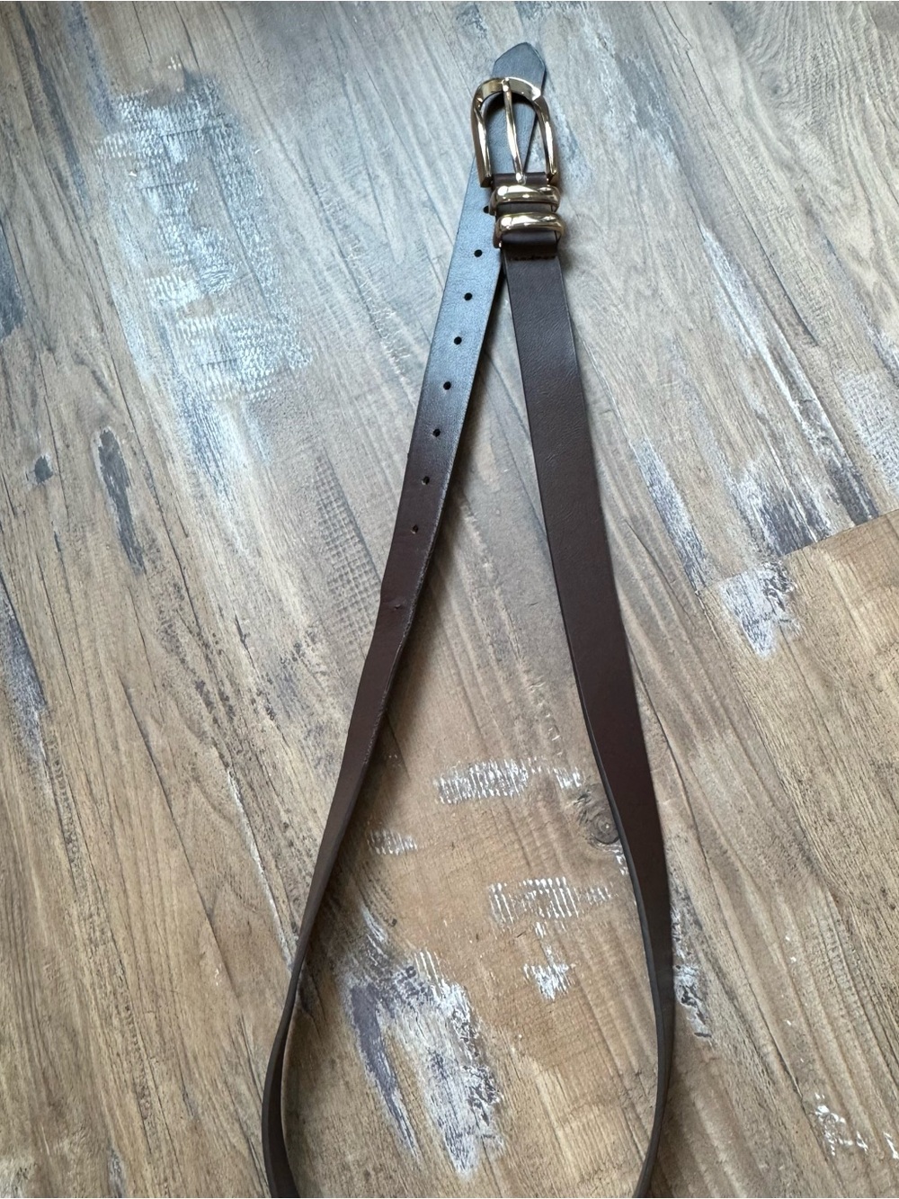 TORRID 1 Brown Leather Belt with Gold Buckle